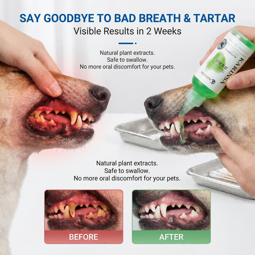 Dog Cat Teeth Cleaning Gel